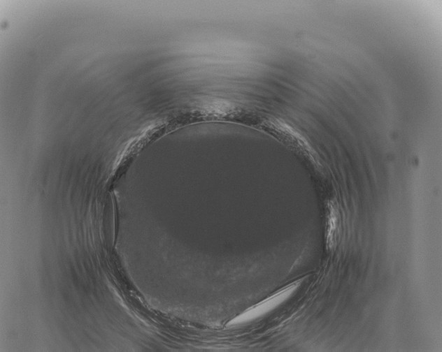 X0000061760496200512091705