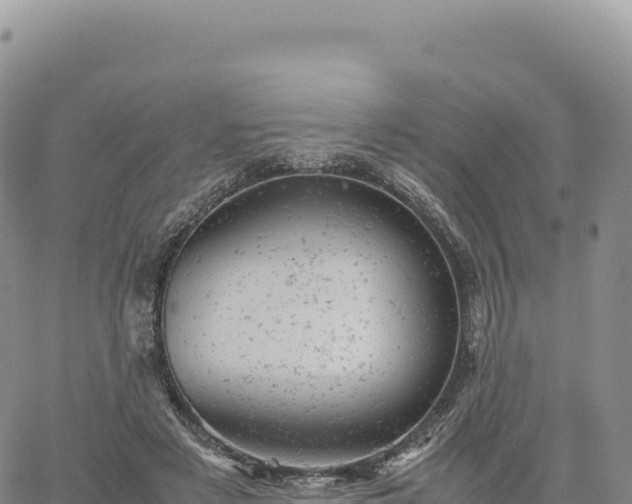 X0000061760497200512091705