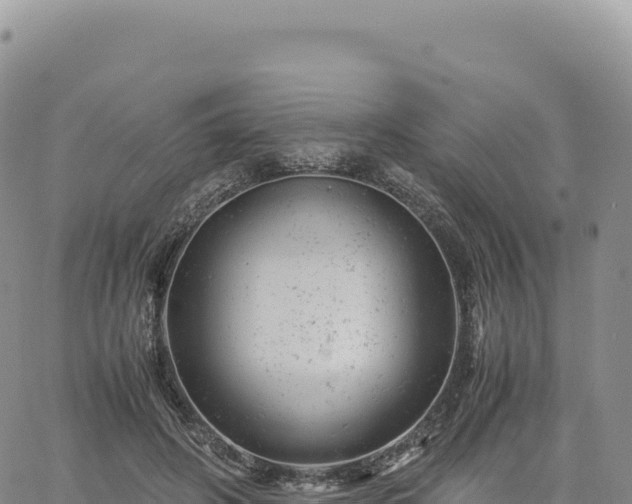 X0000061760498200512091705