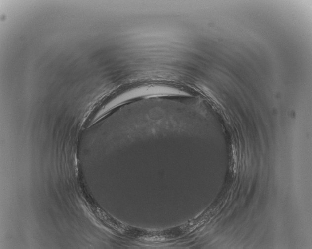 X0000061760500200512091705