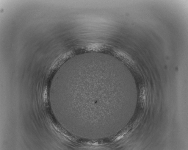 X0000061760502200512091704