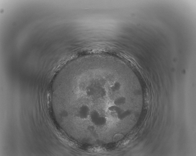 X0000061760503200512091704