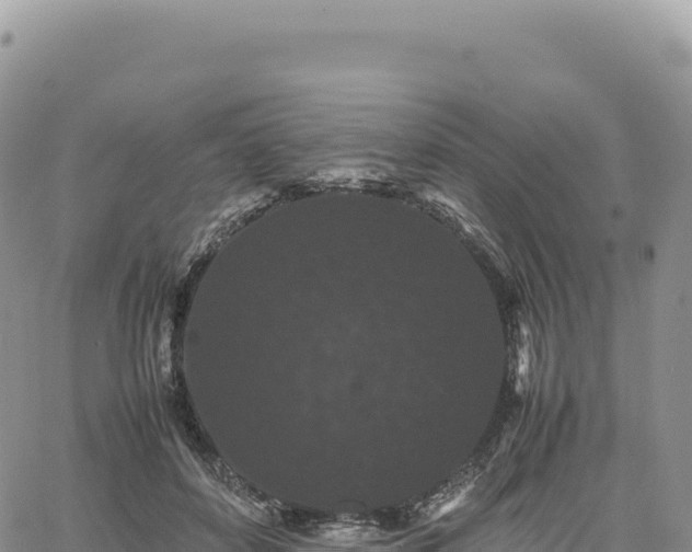 X0000061760504200512091704