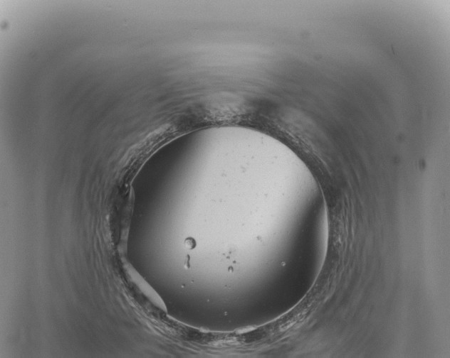 X0000061760505200512091704