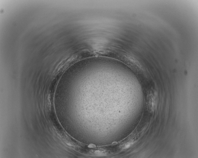 X0000061760506200512091704