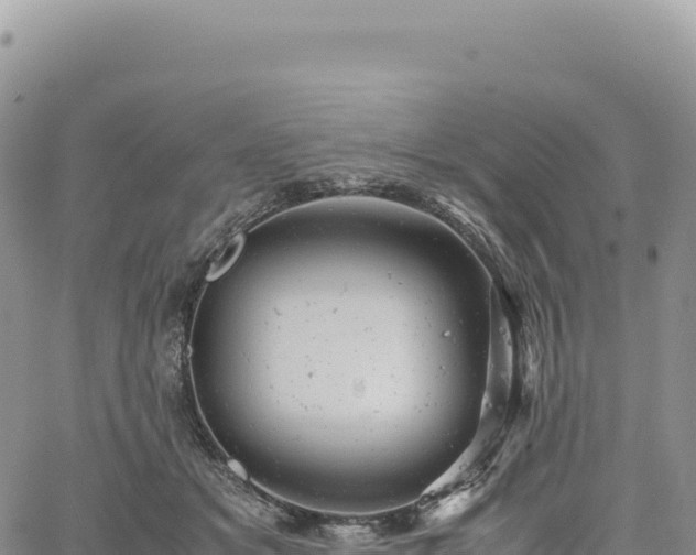 X0000061760509200512091704