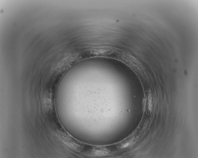 X0000061760510200512091704