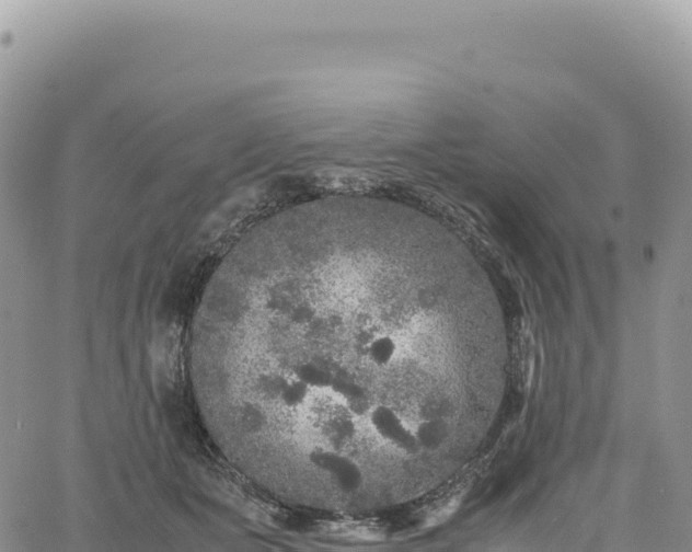 X0000061760511200512091704