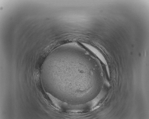 X0000061760513200512091704