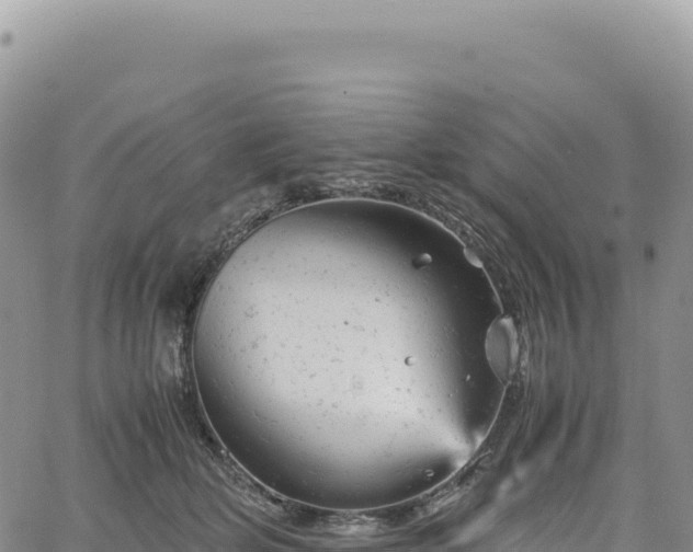 X0000061760514200512091704