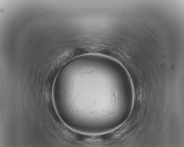 X0000061760515200512091704