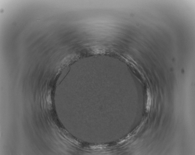 X0000061760516200512091704