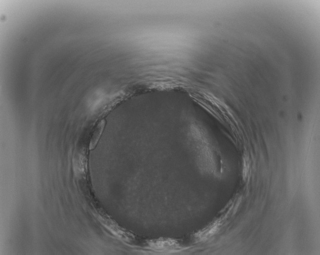 X0000061760517200512091704