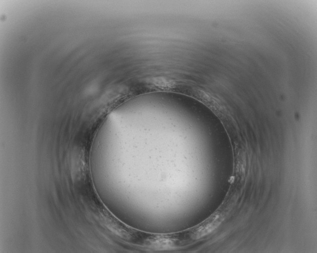 X0000061760518200512091704