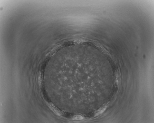 X0000061760519200512091704