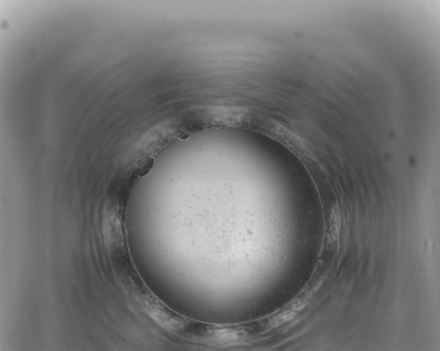 X0000061760522200512091704