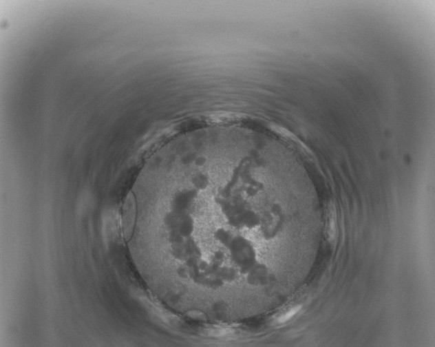 X0000061760523200512091704