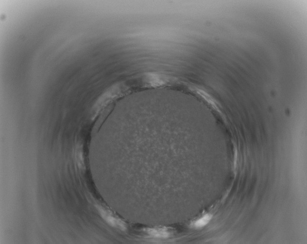 X0000061760524200512091704