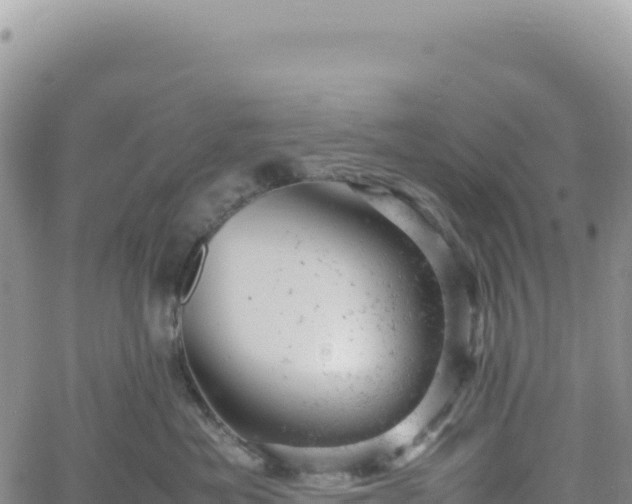 X0000061760525200512091704