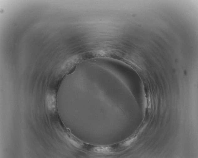 X0000061760526200512091704