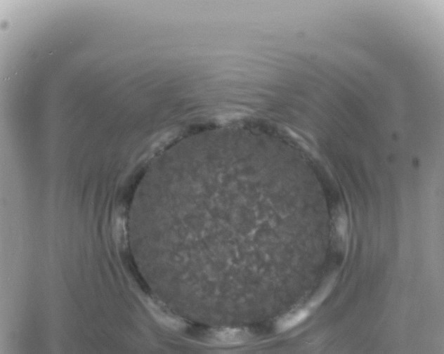 X0000061760527200512091704