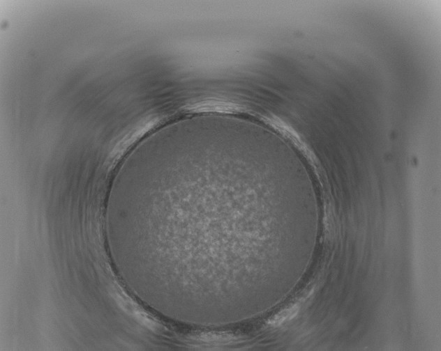 X0000061760529200512091703