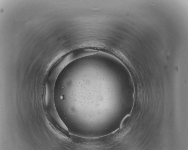 X0000061760530200512091703