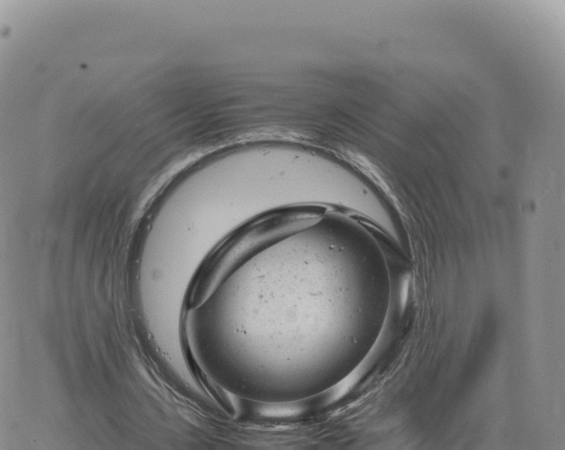 X0000061760531200512091703