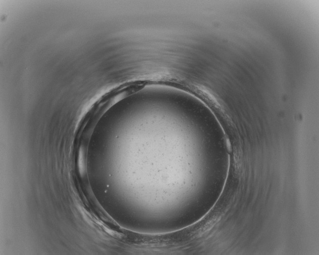 X0000061760532200512091703