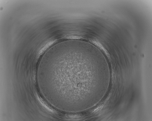 X0000061760533200512091703