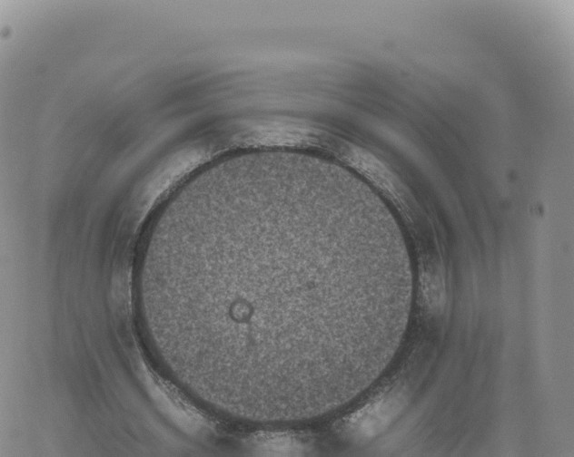 X0000061760534200512091703