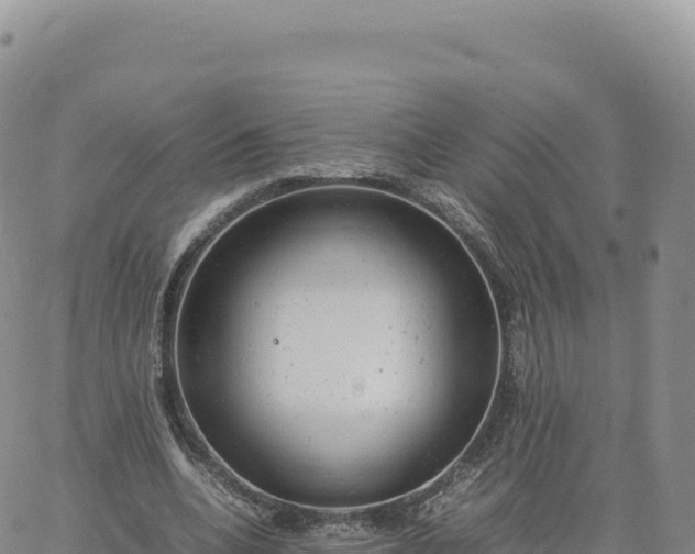 X0000061760536200512091703