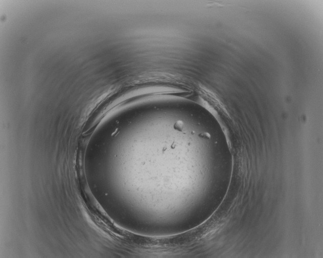 X0000061760538200512091703