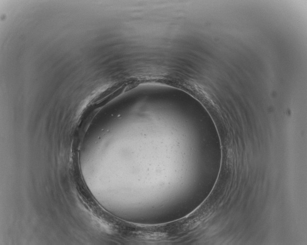 X0000061760539200512091703