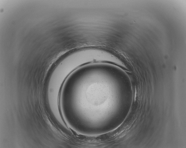 X0000061760540200512091703