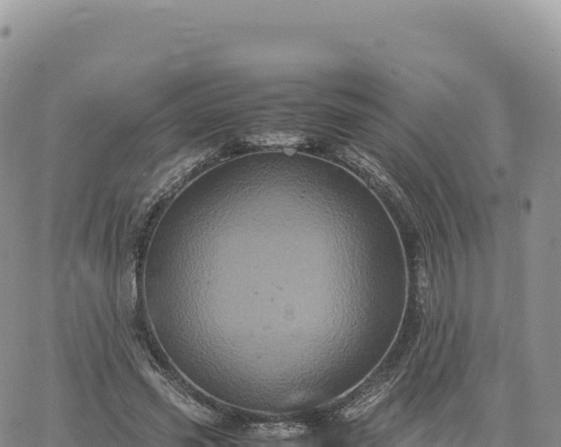 X0000061760541200512091703