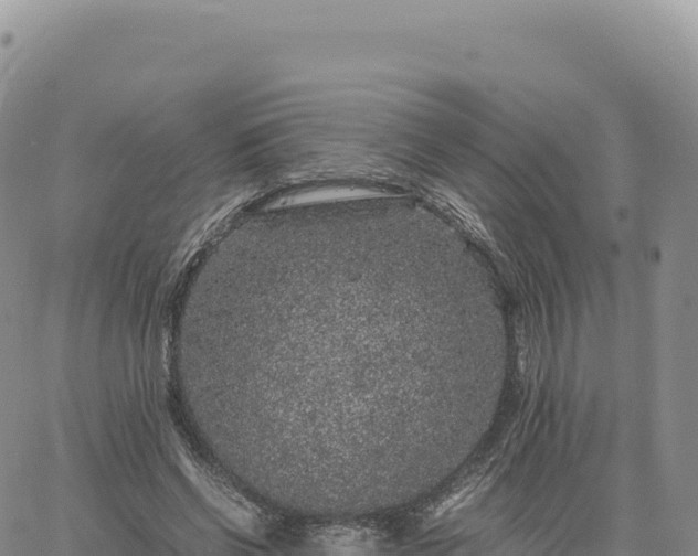 X0000061760542200512091703