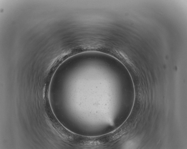 X0000061760543200512091703