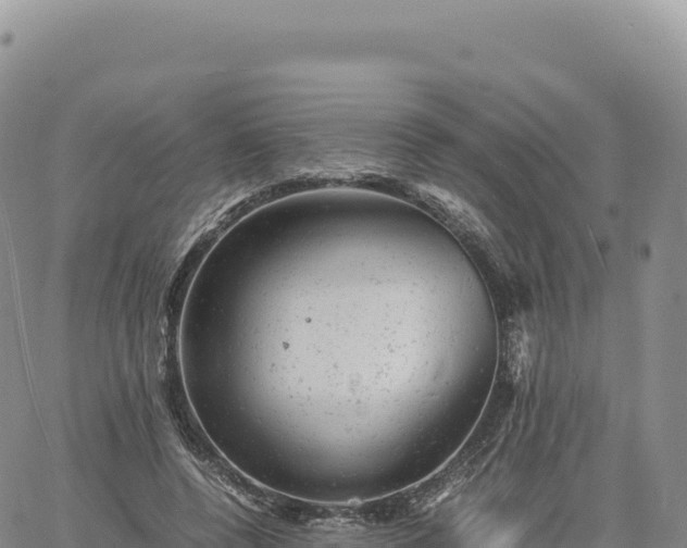 X0000061760544200512091703