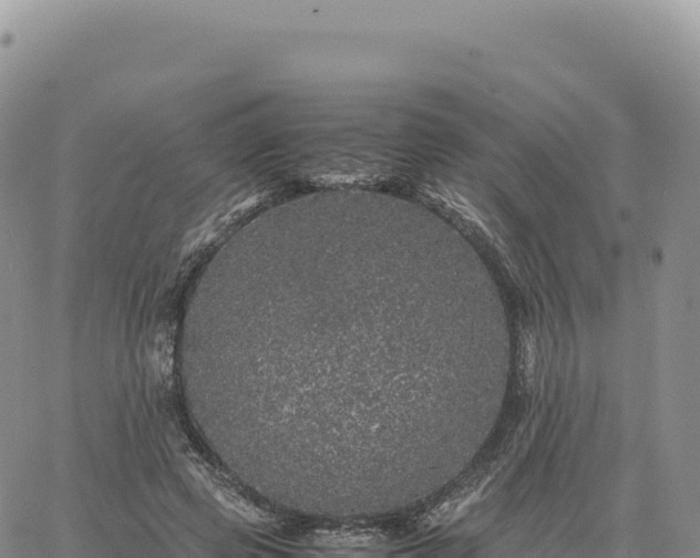 X0000061760545200512091704