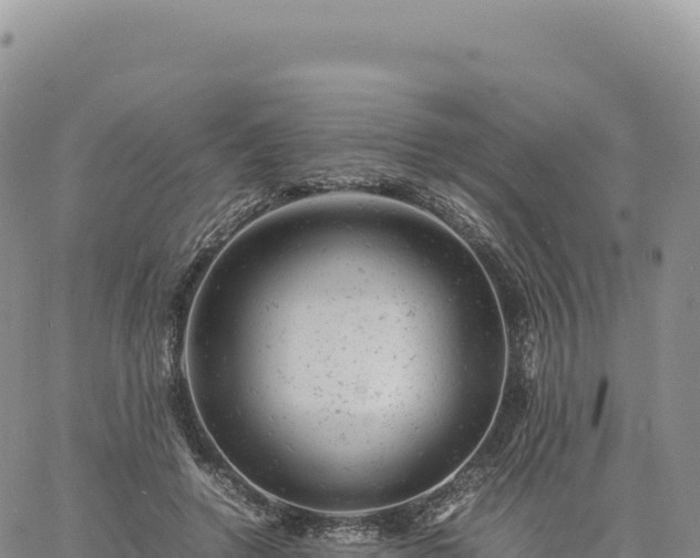 X0000061760546200512091704