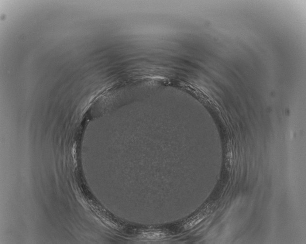 X0000061760547200512091704