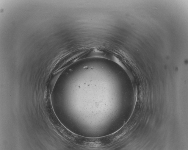 X0000061760548200512091704