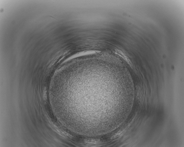 X0000061760549200512091704