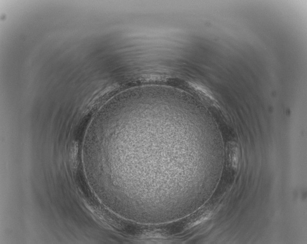 X0000061760550200512091704