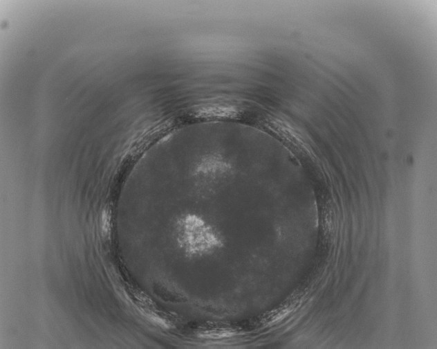 X0000061760551200512091704