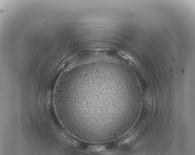 X0000061760554200512091704