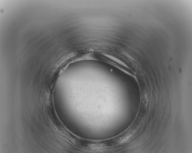 X0000061760556200512091704