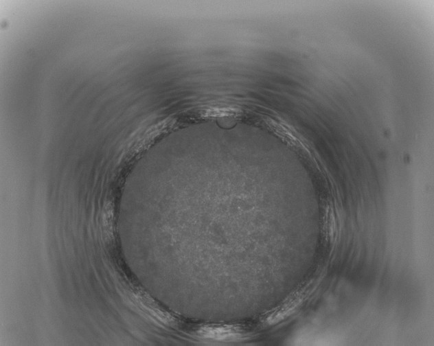 X0000061760557200512091704