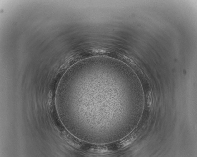 X0000061760559200512091704